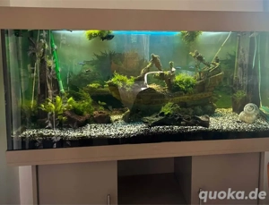 Komplettes Juwel Rio 350-Liter-Aquarium