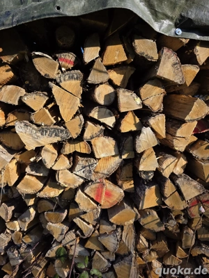 Brennholz Kaminholz zu verkaufen 