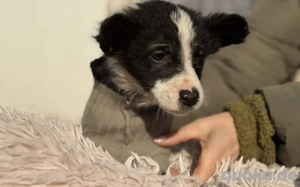 Mexx ist bereit, dein Herz zu erobern