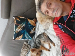 Suche für das erste mal eine transfrau