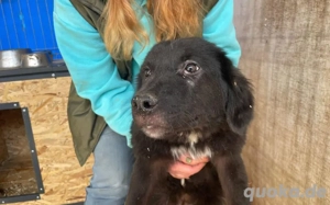 Die schöne Franzi sucht das Glück Bild 6