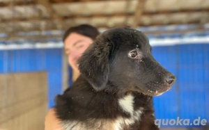 Die schöne Franzi sucht das Glück Bild 4