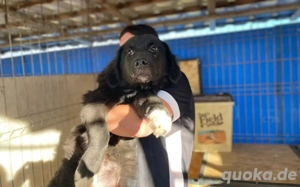 Die schöne Franzi sucht das Glück Bild 5