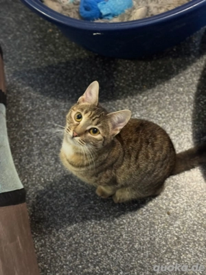 Mausi ist bereit für die große weite Welt