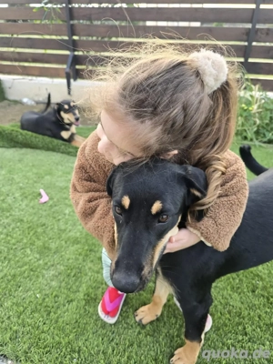 3 Mädels suchrn eine Pflegestelle