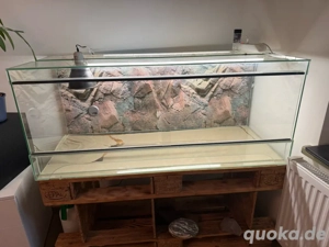 Glasterrarium 1.20x50x50