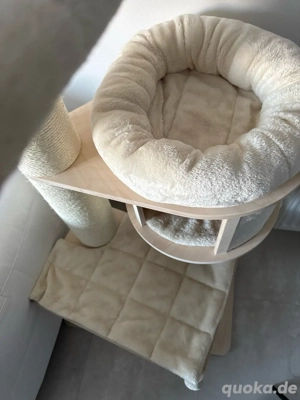 Kratzbaum, Kratztonne, Selbstreinigende Katzentoilette, Katzenbrunnen etc.  