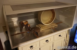 Skyline Marrakesch 100 Nagarium