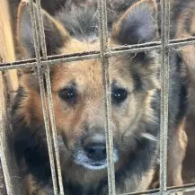 Mia R ca. 45 cm   fühlt sich nun sicher