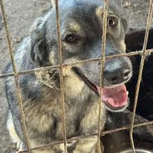 Sun S ca. 47 cm   die zuckersüße Begleiterin