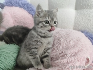 Wir dürfen ausziehen...