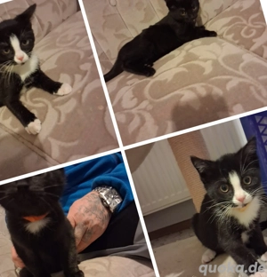 Zwei süße Schwestern zu verkaufen!