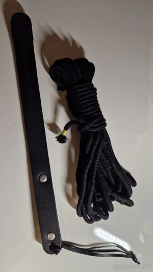 Dominanz und Kontrolle