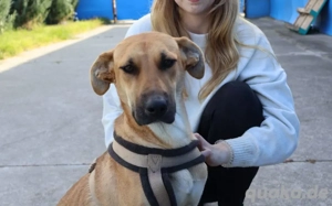 Zuhause gesucht für Janna