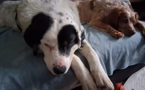 Schreibst du mit an Fleckis Happy End? Bild 3