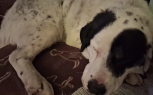 Schreibst du mit an Fleckis Happy End? Bild 2