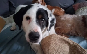 Schreibst du mit an Fleckis Happy End? Bild 4