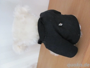 STEIFF 'Toots Thielemans Bear', 35 cm Bild 4