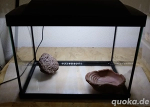 Nanobecken - Aquarium Terrarium 36 x 23 x 30,5 cm