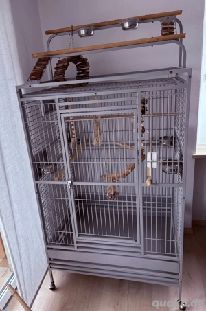 Montana Cages Papageienkäfig Vogelkäfig Voliere Castell Nova Play in Platinum.