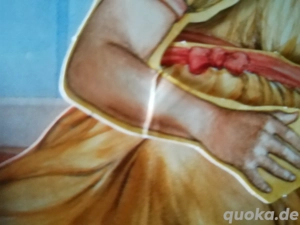 Der Nussknacker - Eine dreidimensionale Pop-Up-Geschichte Bild 6