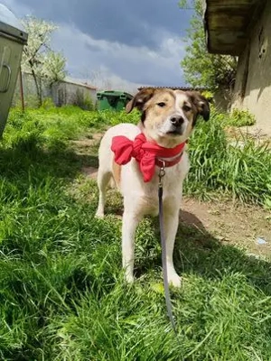 Hübsche Evita - ist freundlich zu allen