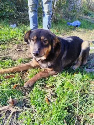 Beeindruckender  Arnold - ist richtig sensibel und sehr lieb