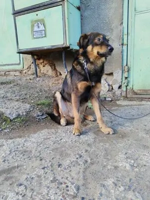 Beeindruckender  Arnold - ist richtig sensibel und sehr lieb