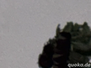 Er Fick an Go Gesuch Familiäre  Frau auch Behinderung körperliche 