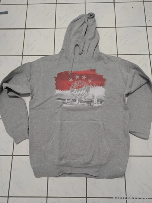 FC Bayern Pullover Hoodie Grau XXL