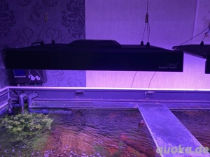 Chihiros Vivid 3 Aquarium Beleuchtung
