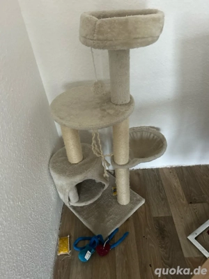 Kratzbaum bis dienstag abzuholen sonst auf den sperrmüll