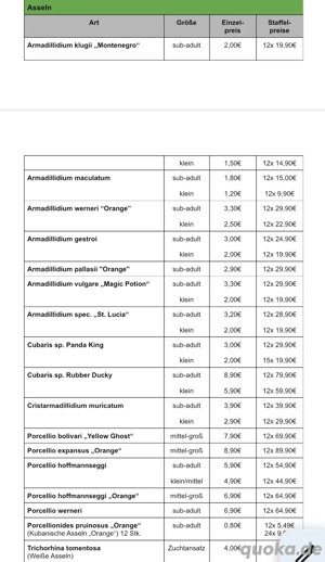 Wir bieten div. Asseln & Tausendfüßer Bild 9