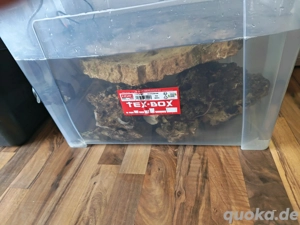 Ca. 20 kg Lebendgestein zu verschenken