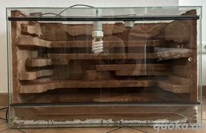 kleines Terrarium zu verkaufen