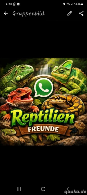 Reptilien & Terraristik Community