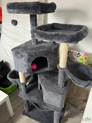 kratzbaum gebraucht + spielzeuge noch da