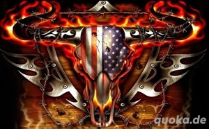 Gutgebuchte Countryband sucht Sänger