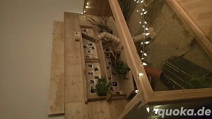 Degubabys gesucht (m)