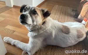 Bolero wartet auf dich