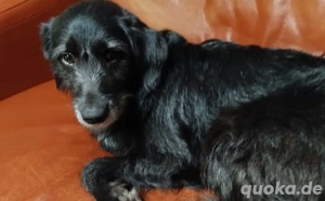 Kiara - Lebenfreude pur