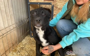 Schüchterne Milli sucht liebevolle Menschen