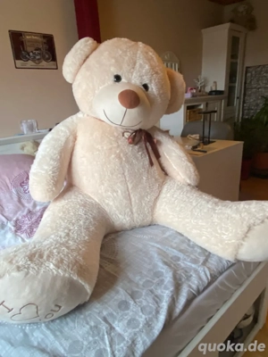 lebensgroßer Teddybär zu verschenken