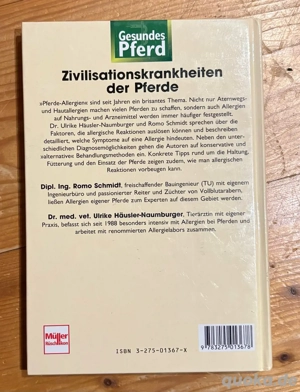 allergien - Romo Schmidt - gesundes Pferd Bild 2