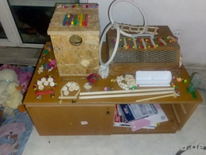 ich biete vogel Zubehör niskaten ist selbst gemacht