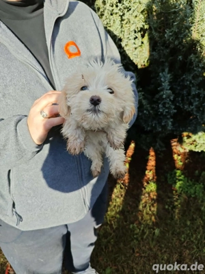 Süße Nala sucht ihr Zuhause 