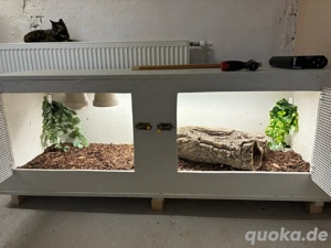 Terrarium 180x60x60