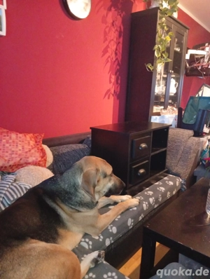 Coutch für Wohnzimmer 