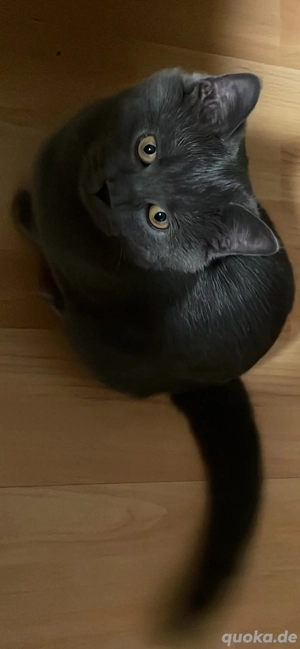 Mia und Milad suchen ein neues zu Hause!