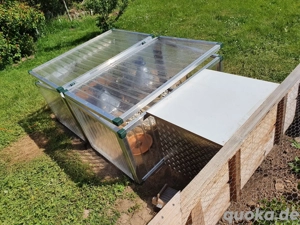 Schildkrötenzubehör 